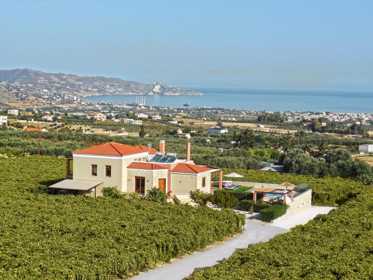 Cretan Vineyard Hill Villa Kato Kalesia Exterior foto