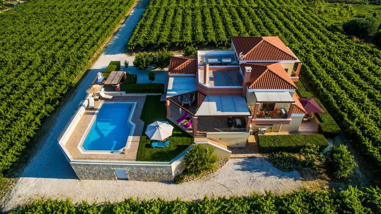 Cretan Vineyard Hill Villa Kato Kalesia Exterior foto